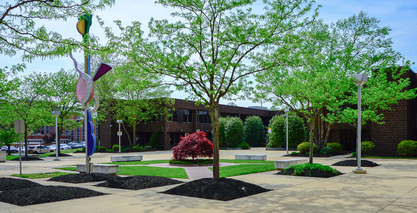 Japanese red maple and art installation on Stratford campus