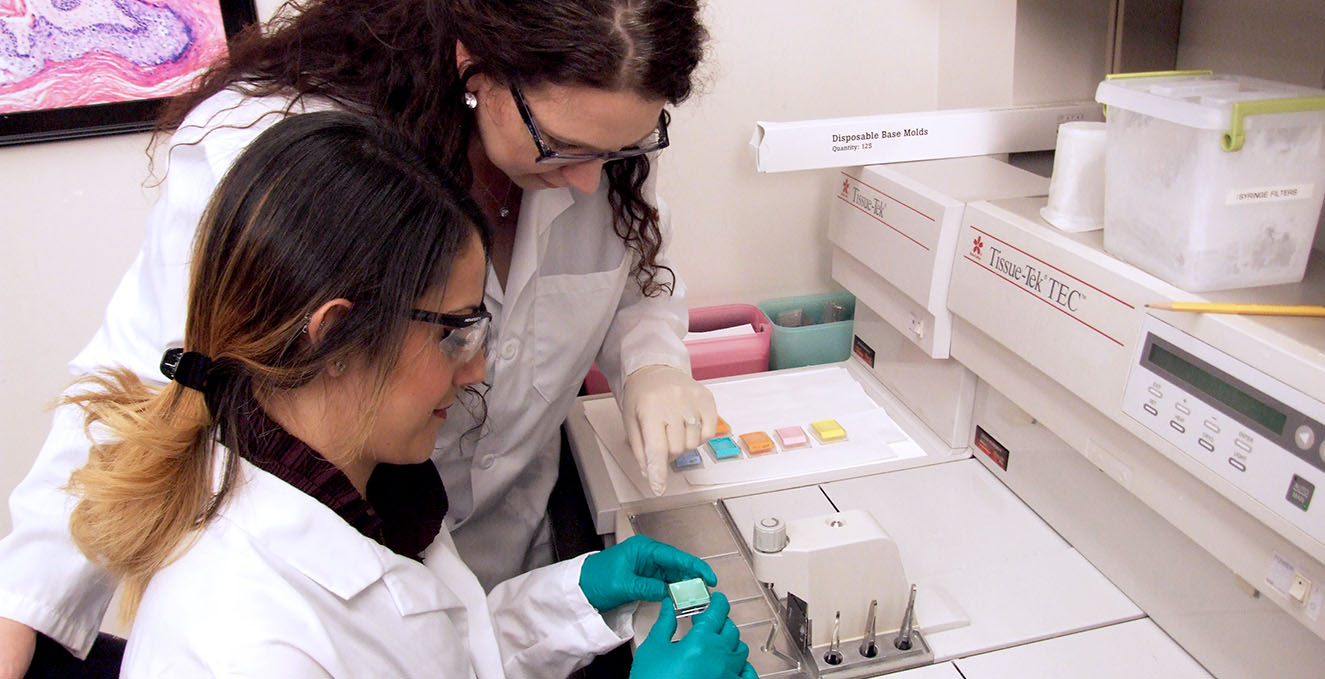 faculty member and student work on research in the lab