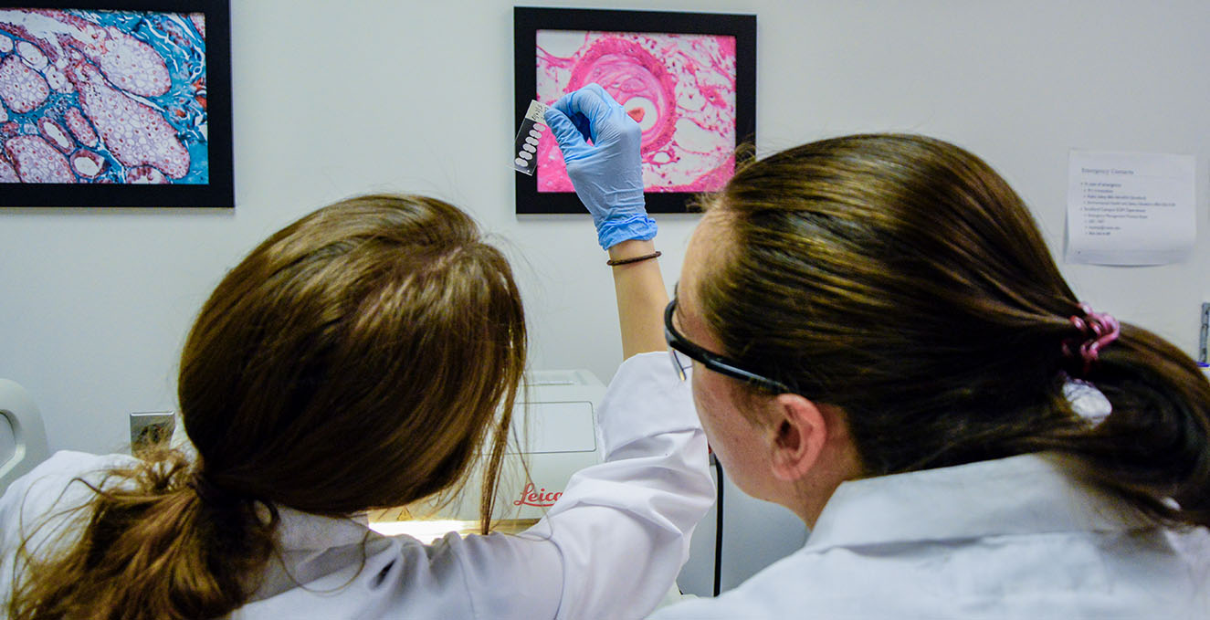 2 researchers looking at a slide over cryostat